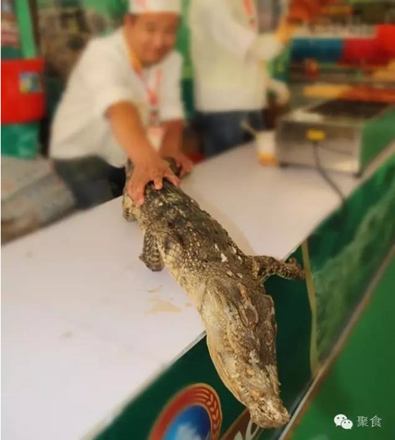 10月28日到j9数字站金街，，，，，带你体验一场全球美食之旅！